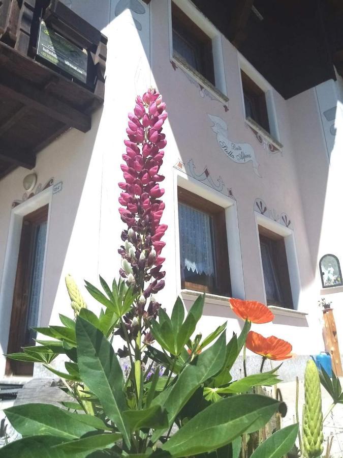Baita Stella Alpina Λιβίνιο Εξωτερικό φωτογραφία
